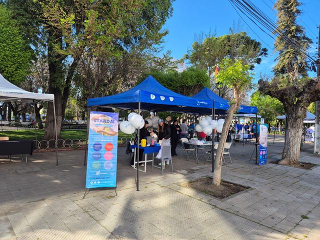 Stand de salud en feria Curalí
